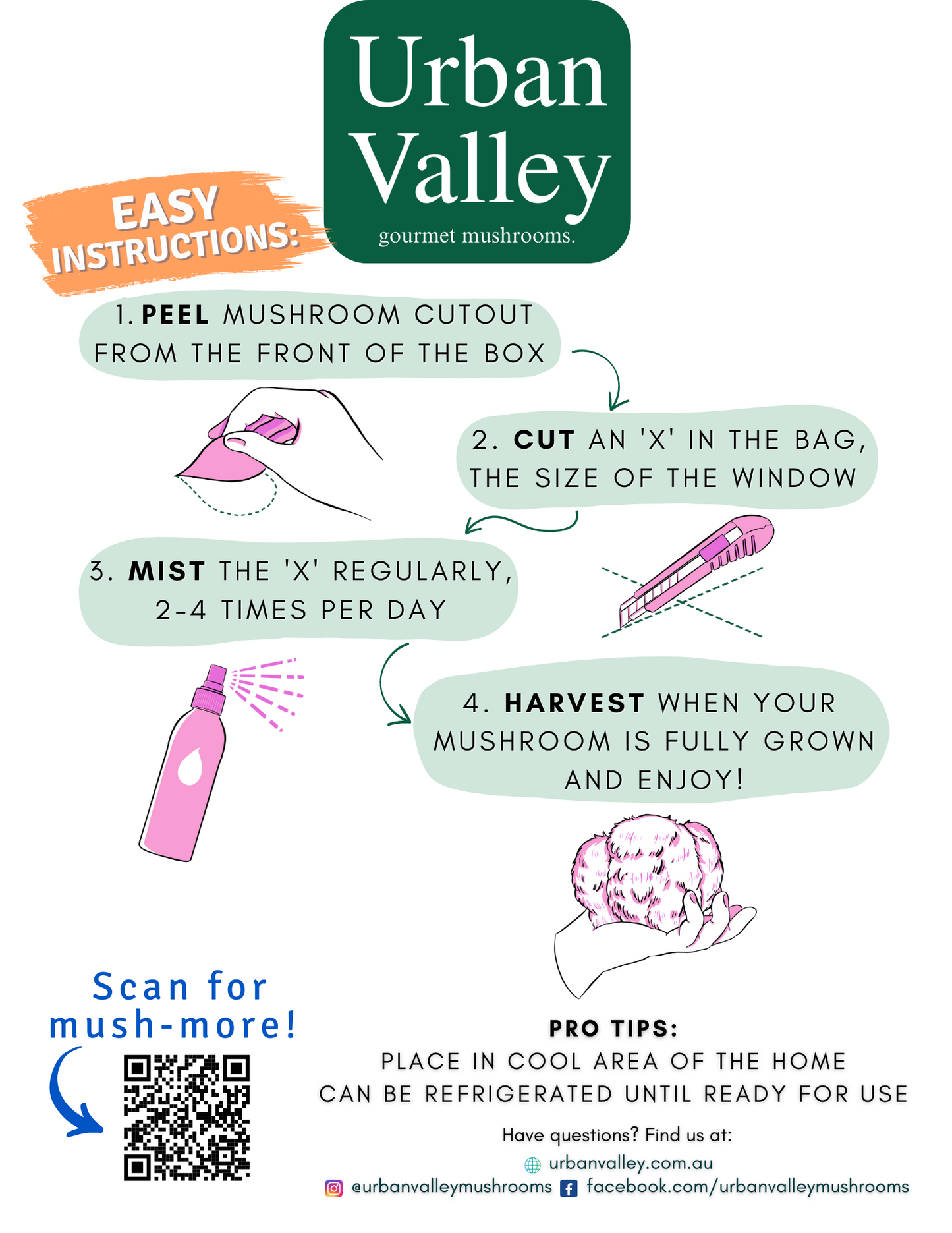 Back of the mushroom grow kit box showing the easy instructions