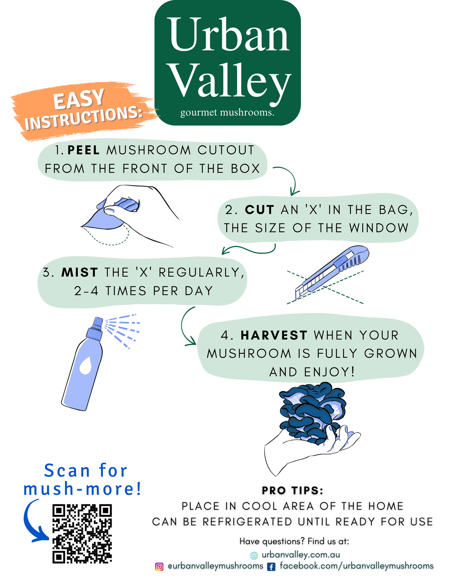 Back of the Urban Valley yellow oyster mushroom grow kit box showing the easy instructions