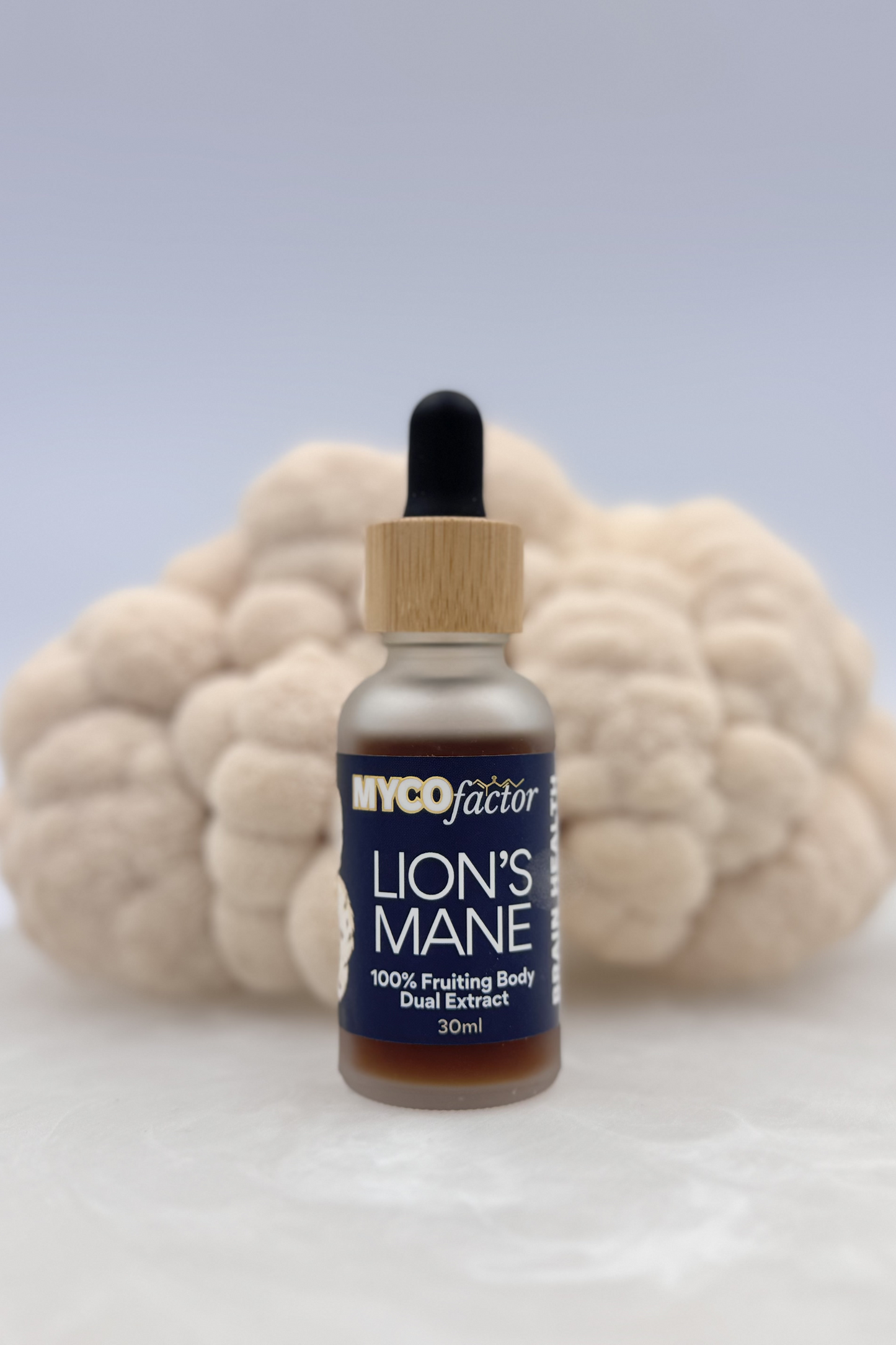 Lion's Mane Lover Pack