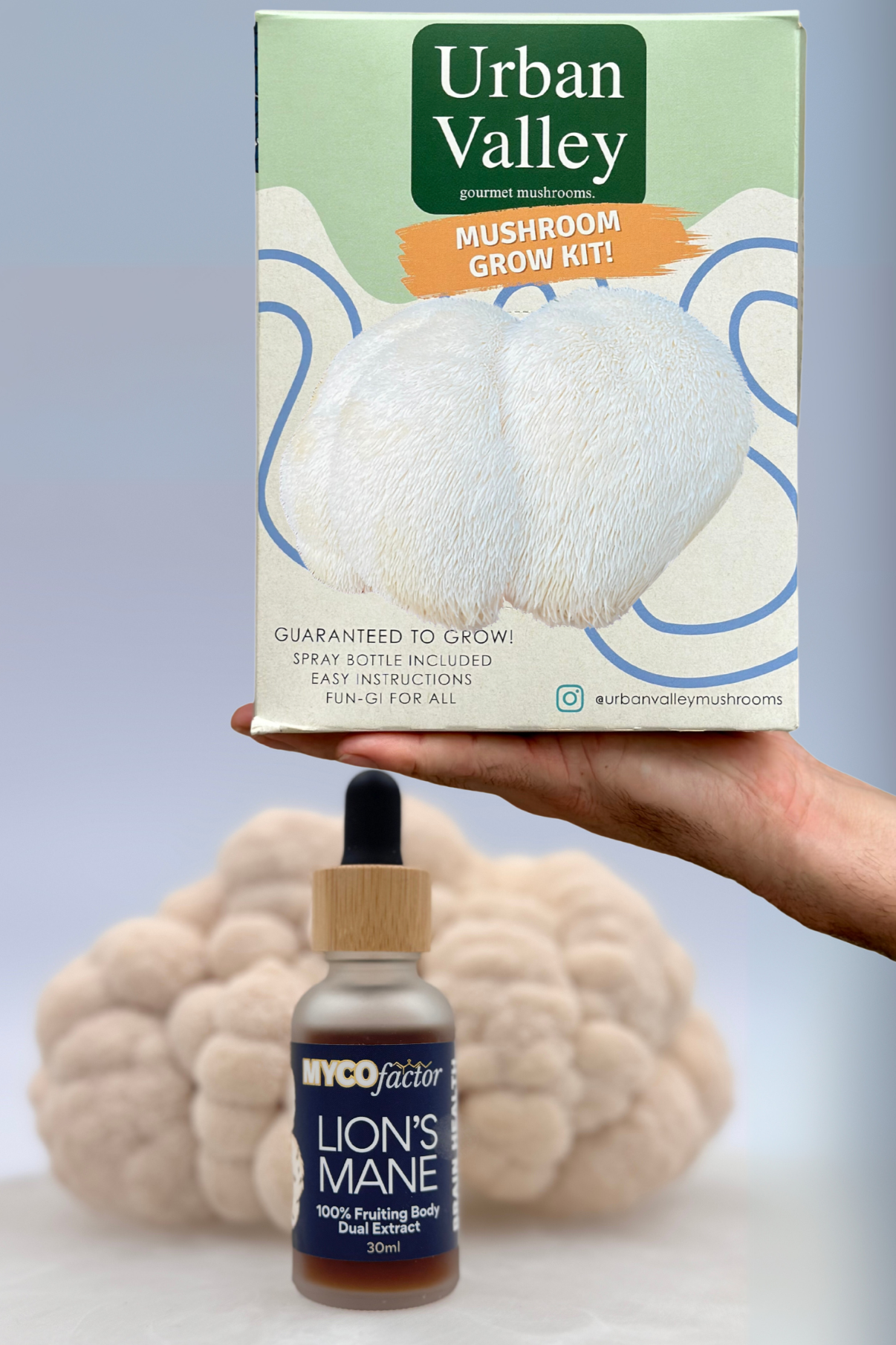 Lion's Mane Lover Pack