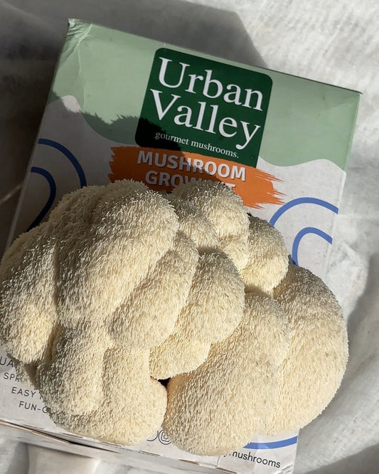 Why Should You Try Growing Mushrooms at Home?