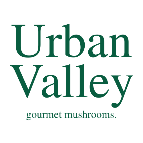 Urban Valley