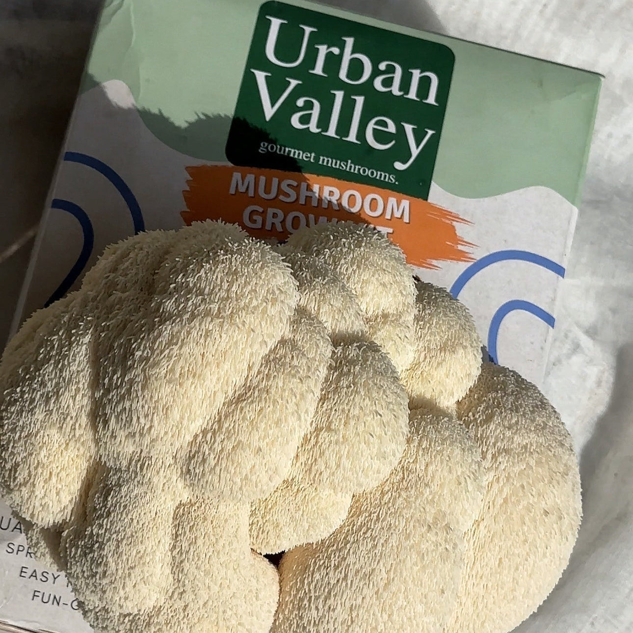 Mushroom grow kit with Urban Valley packaging on a white background