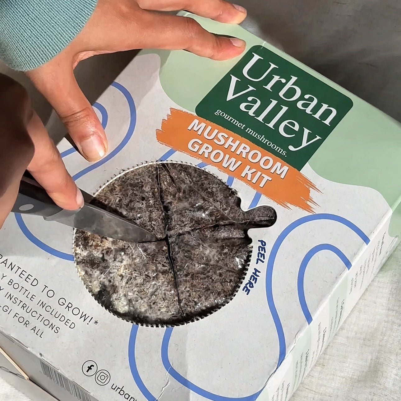 Lions Mane Mushroom Grow Kit